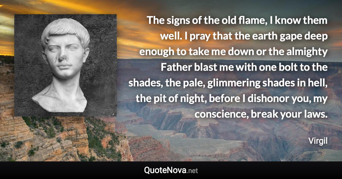 The signs of the old flame, I know them well. I pray that the earth gape deep enough to take me down or the almighty Father blast me with one bolt to the shades, the pale, glimmering shades in hell, the pit of night, before I dishonor you, my conscience, break your laws. - Virgil quote