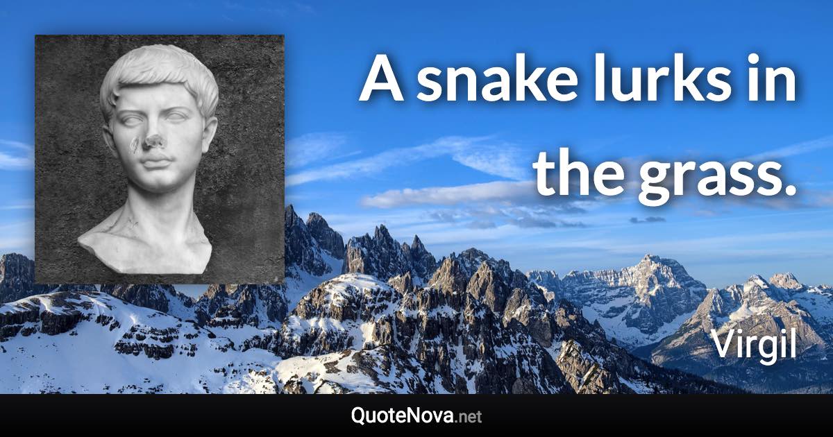 A snake lurks in the grass. - Virgil quote