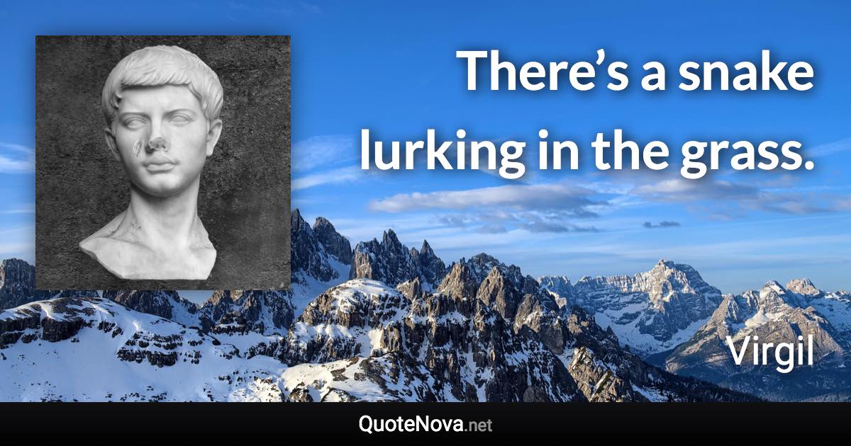 There’s a snake lurking in the grass. - Virgil quote