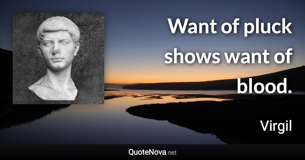 Want of pluck shows want of blood. - Virgil quote