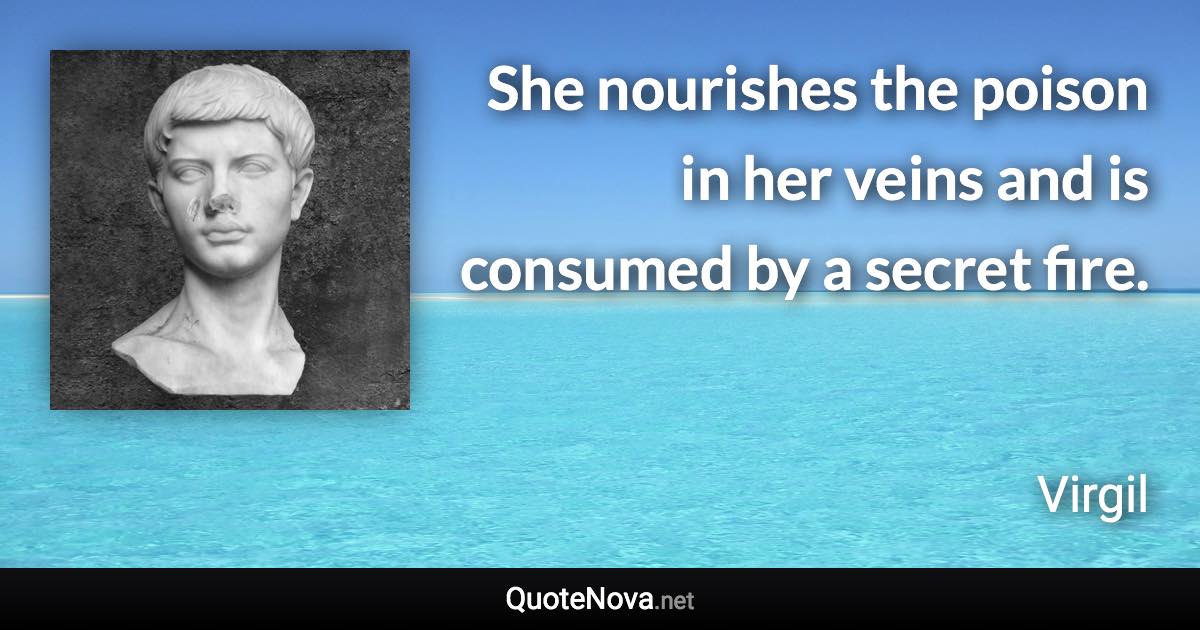 She nourishes the poison in her veins and is consumed by a secret fire. - Virgil quote