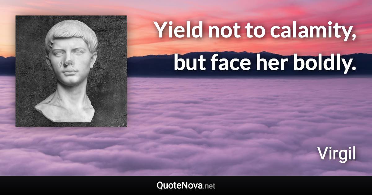 Yield not to calamity, but face her boldly. - Virgil quote