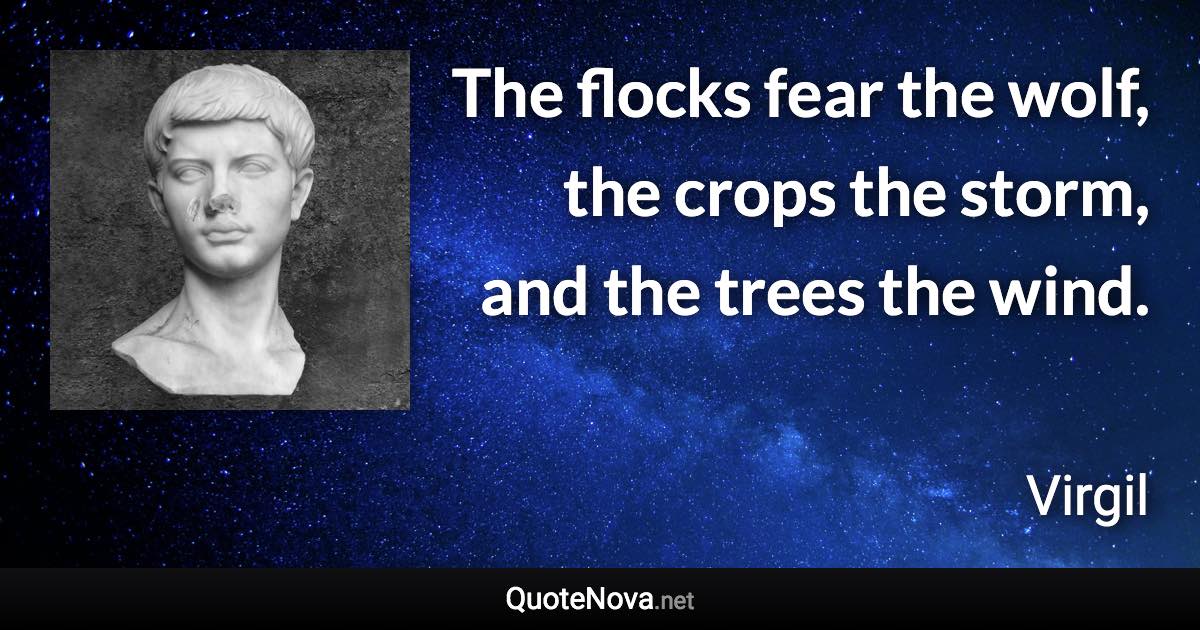 The flocks fear the wolf, the crops the storm, and the trees the wind. - Virgil quote