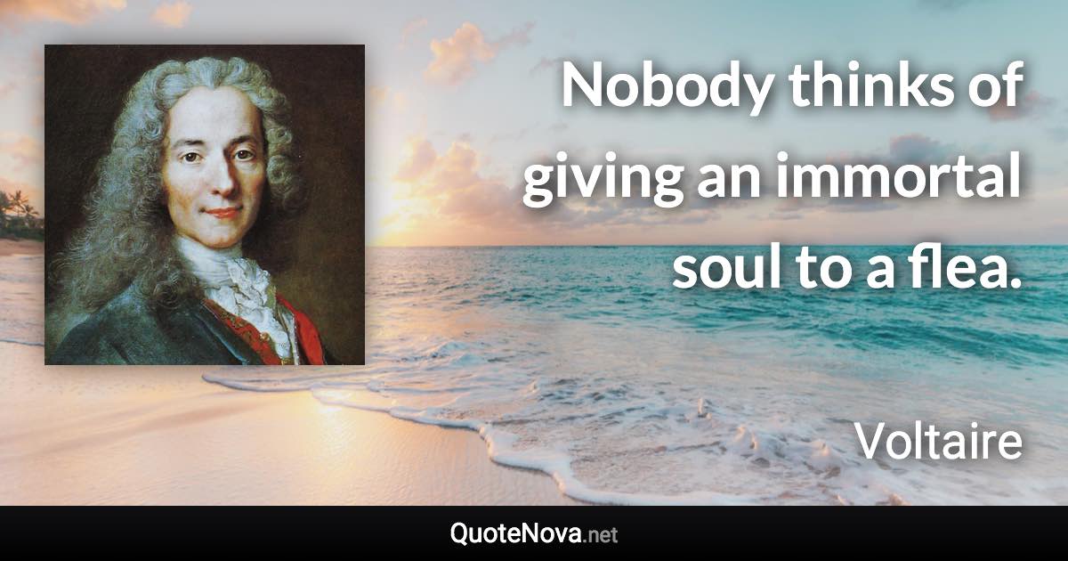 Nobody thinks of giving an immortal soul to a flea. - Voltaire quote