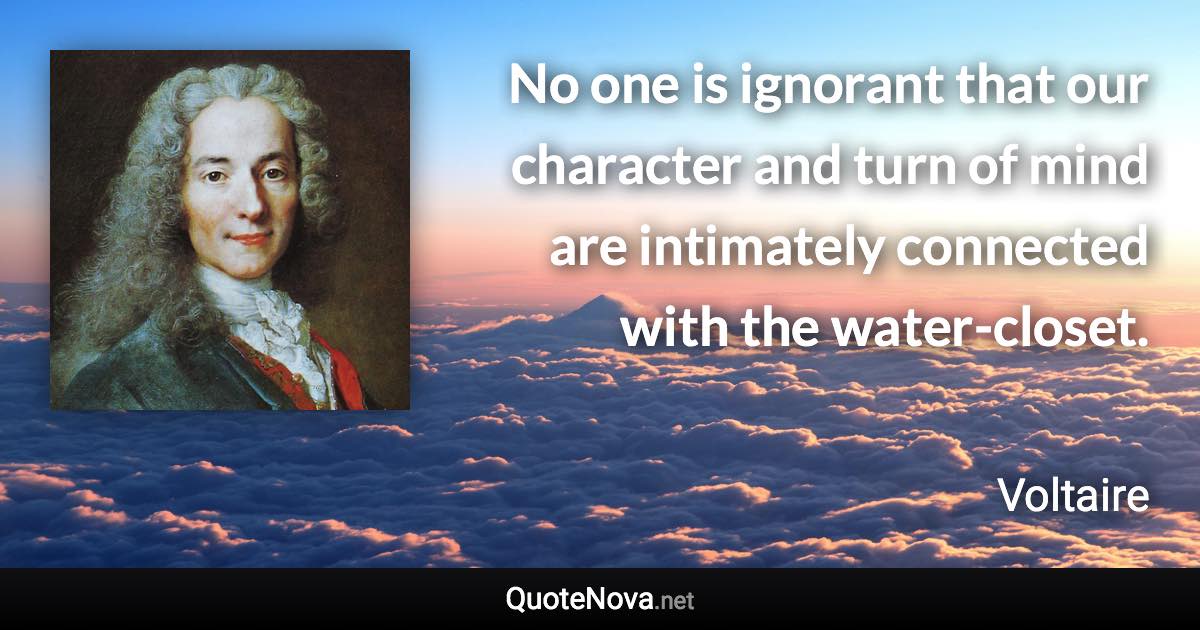 No one is ignorant that our character and turn of mind are intimately connected with the water-closet. - Voltaire quote