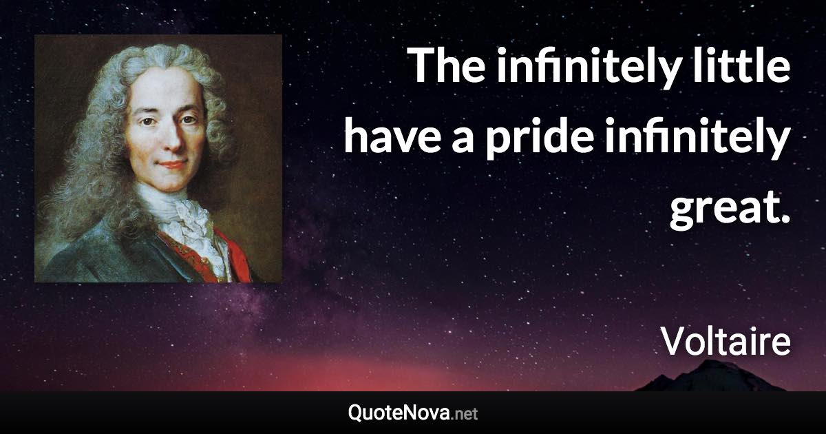 The infinitely little have a pride infinitely great. - Voltaire quote