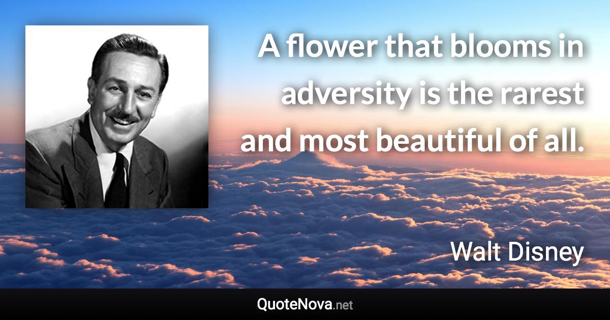 A flower that blooms in adversity is the rarest and most beautiful of all. - Walt Disney quote