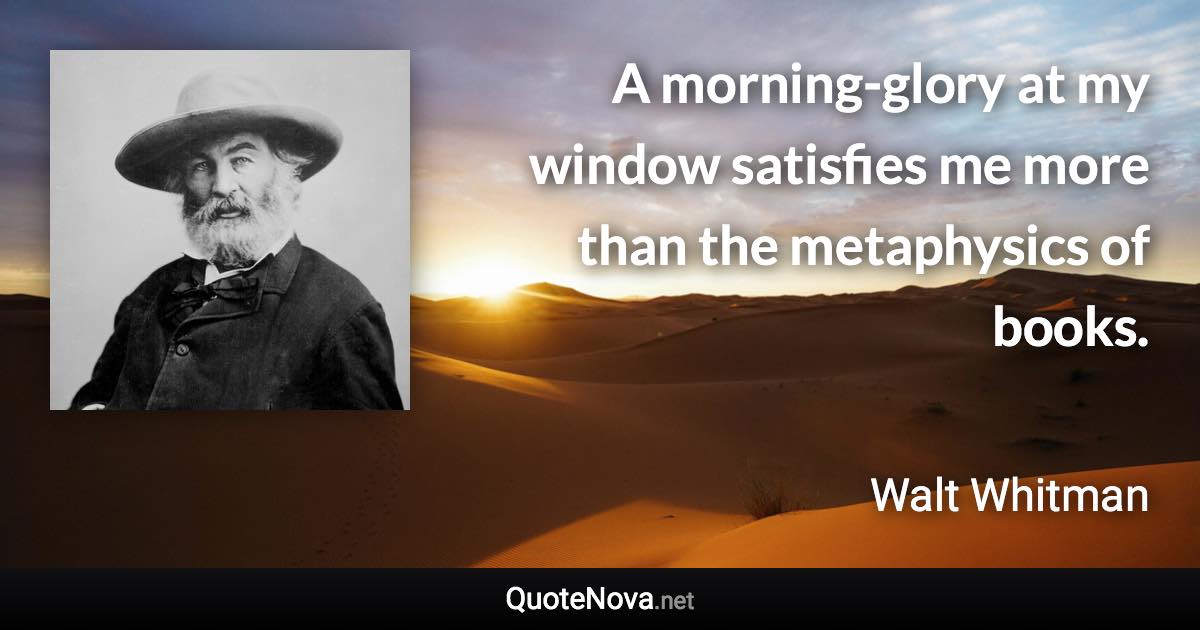 A morning-glory at my window satisfies me more than the metaphysics of books. - Walt Whitman quote