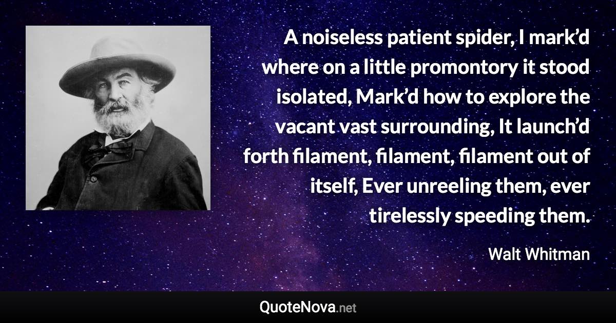 A noiseless patient spider, I mark’d where on a little promontory it stood isolated, Mark’d how to explore the vacant vast surrounding, It launch’d forth filament, filament, filament out of itself, Ever unreeling them, ever tirelessly speeding them. - Walt Whitman quote