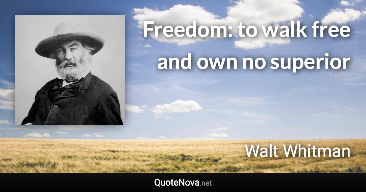 Freedom: to walk free and own no superior - Walt Whitman quote