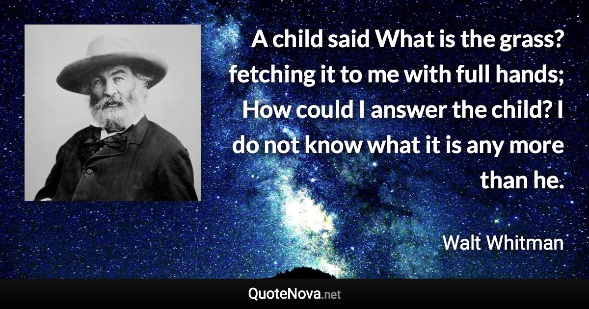 A child said What is the grass? fetching it to me with full hands; How could I answer the child? I do not know what it is any more than he. - Walt Whitman quote