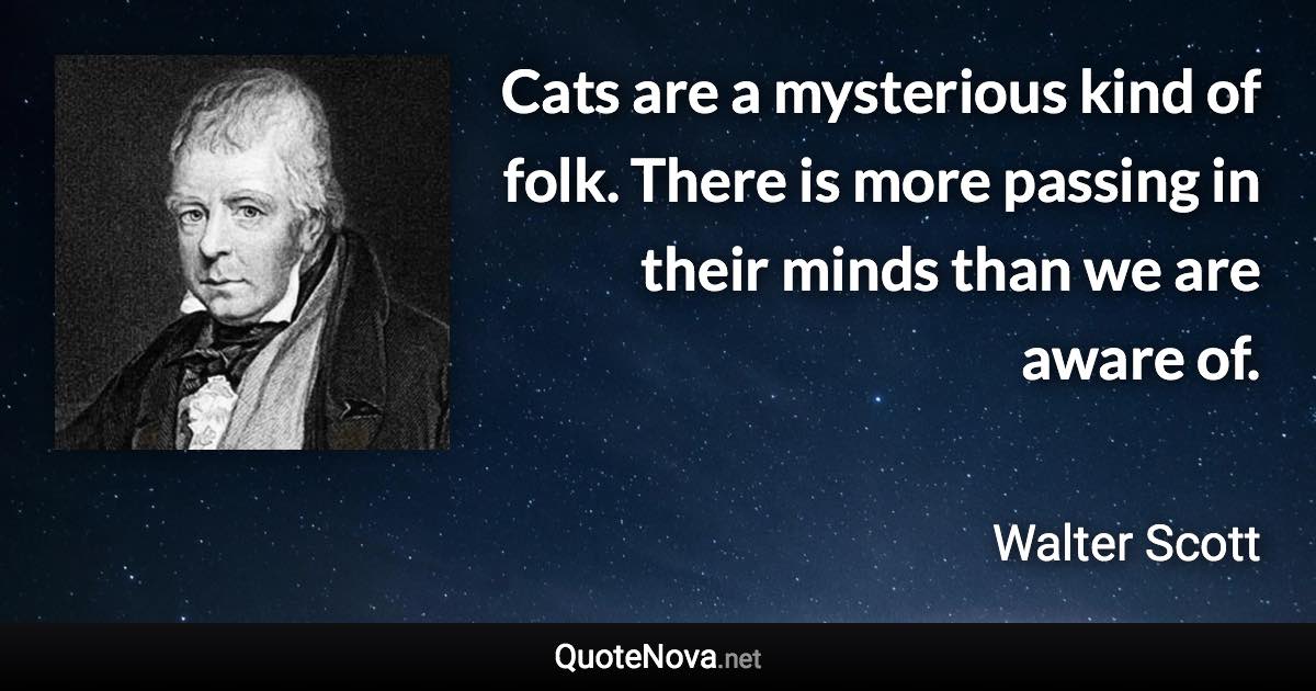 Cats are a mysterious kind of folk. There is more passing in their minds than we are aware of. - Walter Scott quote