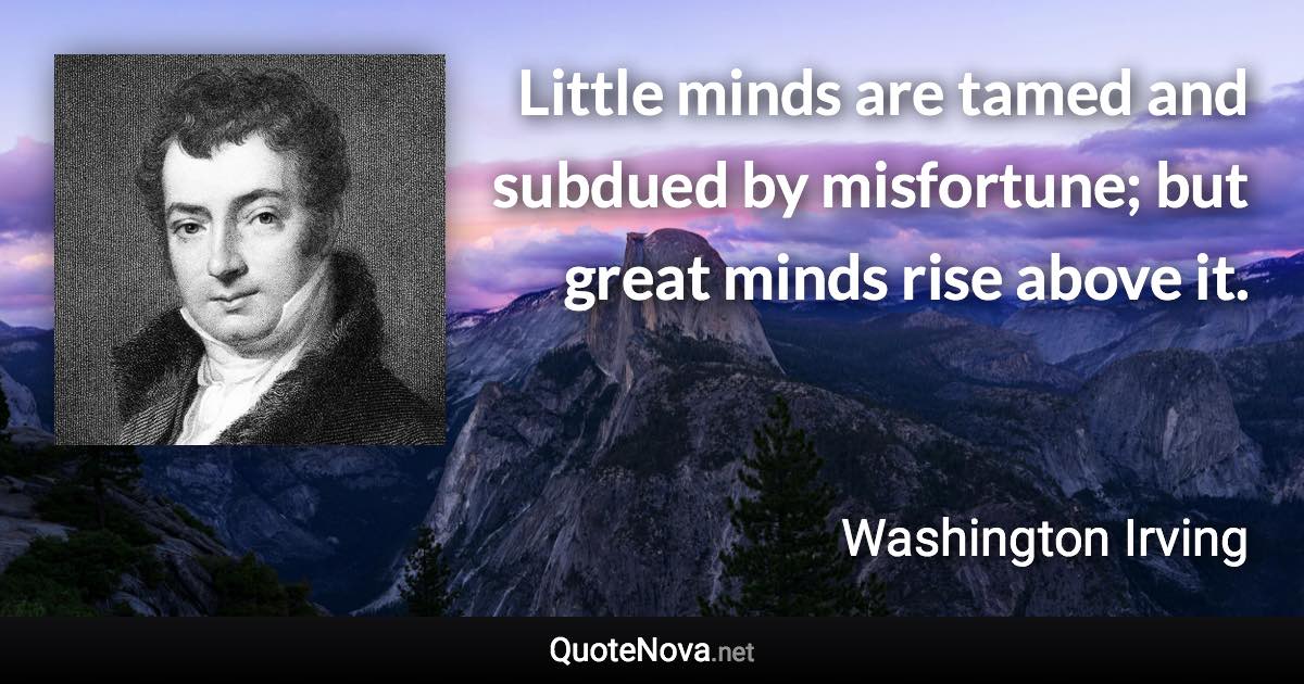 Little minds are tamed and subdued by misfortune; but great minds rise above it. - Washington Irving quote
