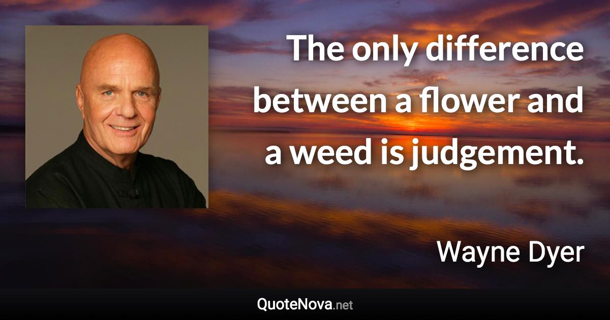 The only difference between a flower and a weed is judgement. - Wayne Dyer quote