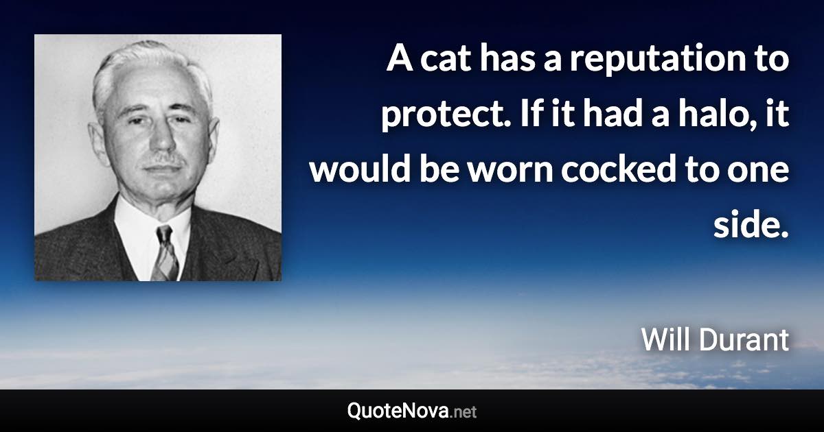 A cat has a reputation to protect. If it had a halo, it would be worn cocked to one side. - Will Durant quote