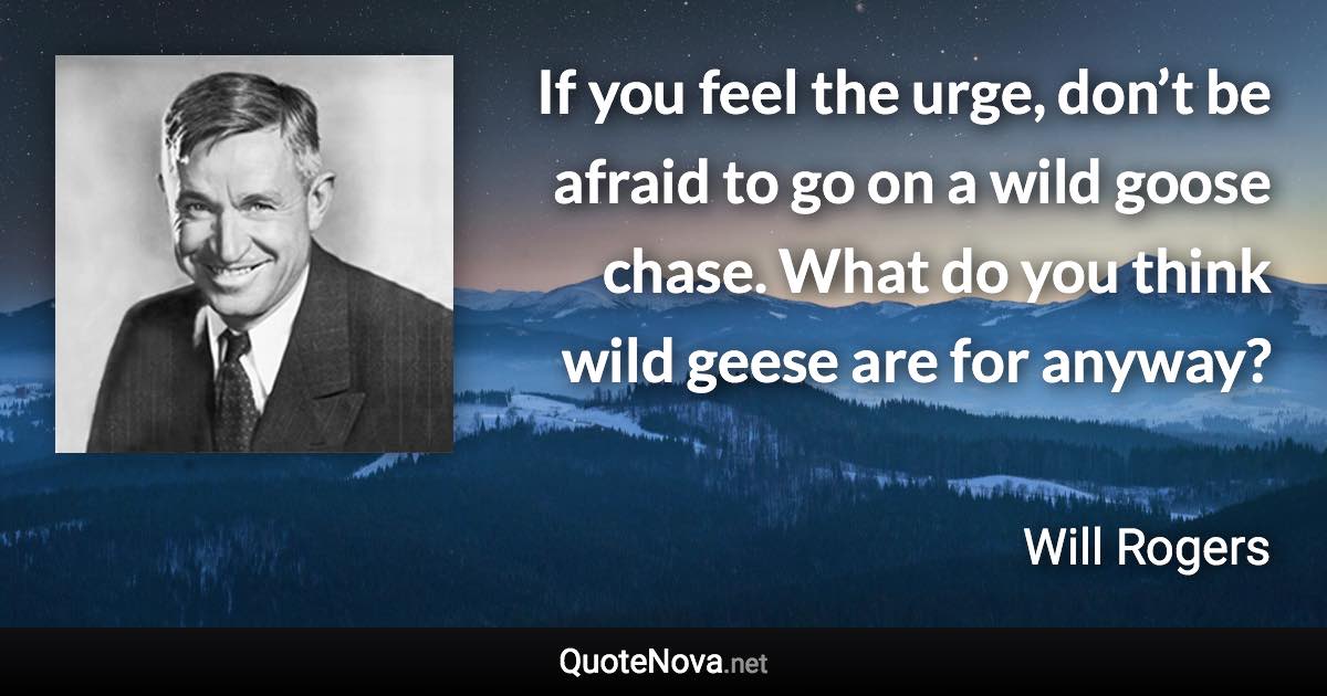 If you feel the urge, don’t be afraid to go on a wild goose chase. What do you think wild geese are for anyway? - Will Rogers quote