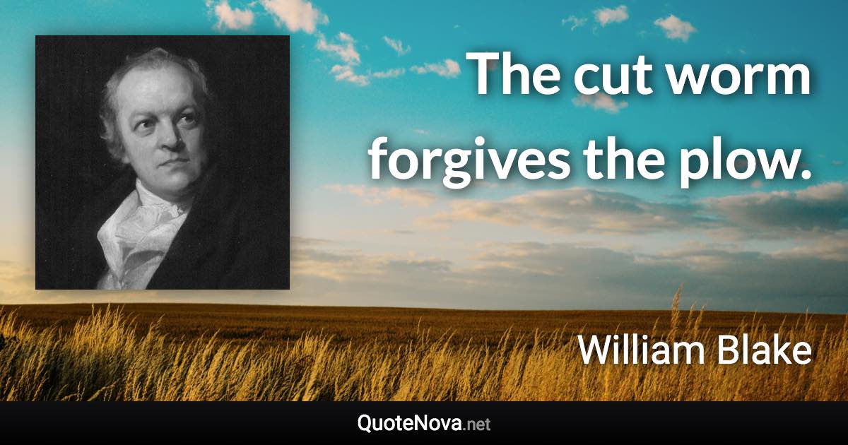 The cut worm forgives the plow. - William Blake quote