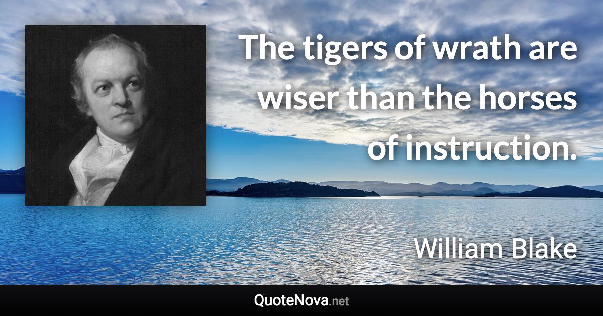 The tigers of wrath are wiser than the horses of instruction. - William Blake quote