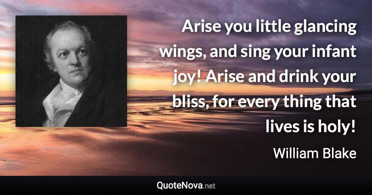 Arise you little glancing wings, and sing your infant joy! Arise and drink your bliss, for every thing that lives is holy! - William Blake quote