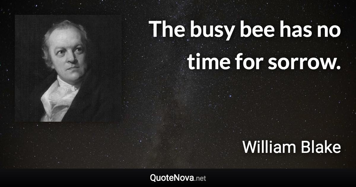 The busy bee has no time for sorrow. - William Blake quote