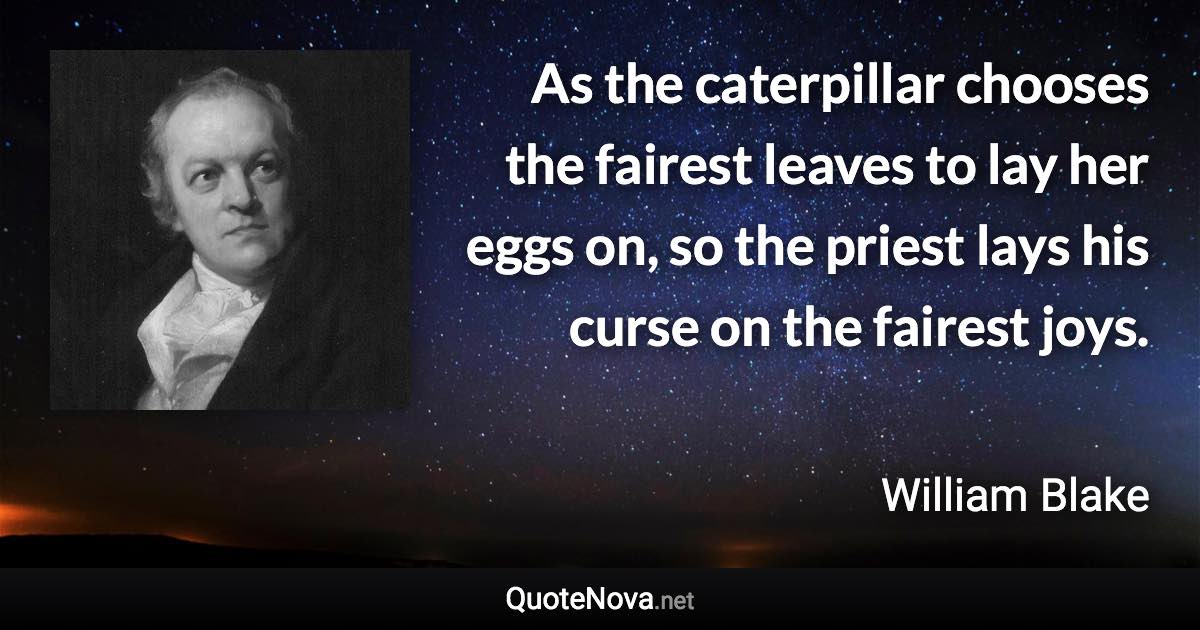 As the caterpillar chooses the fairest leaves to lay her eggs on, so the priest lays his curse on the fairest joys. - William Blake quote