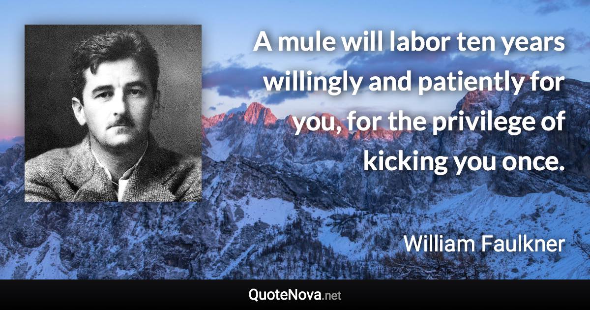 A mule will labor ten years willingly and patiently for you, for the privilege of kicking you once. - William Faulkner quote