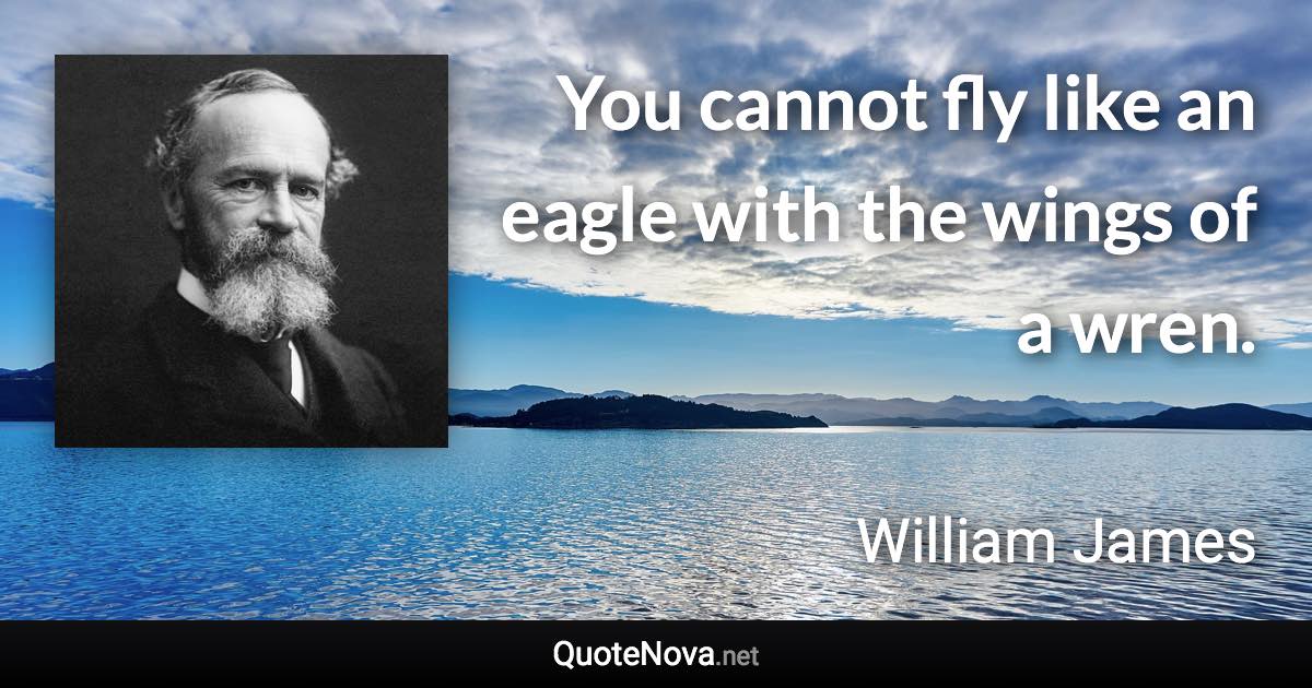 You cannot fly like an eagle with the wings of a wren. - William James quote