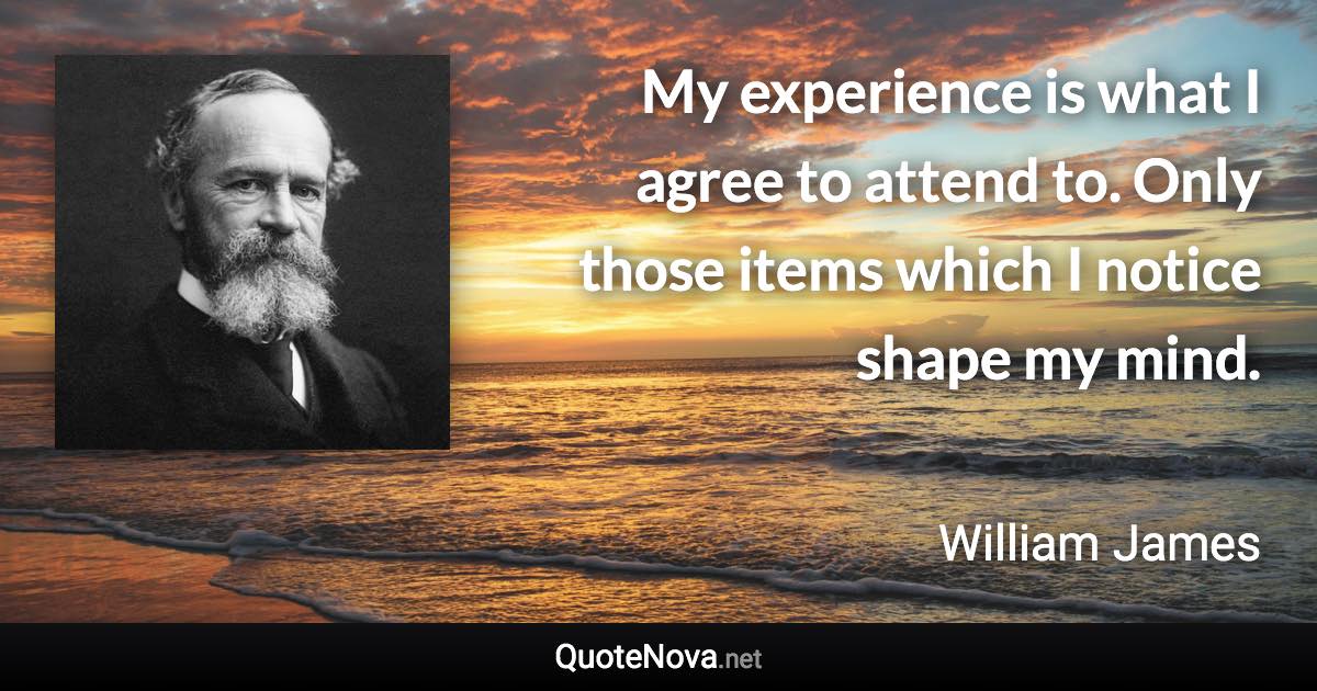 My experience is what I agree to attend to. Only those items which I notice shape my mind. - William James quote