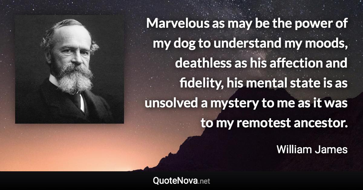 Marvelous as may be the power of my dog to understand my moods, deathless as his affection and fidelity, his mental state is as unsolved a mystery to me as it was to my remotest ancestor. - William James quote