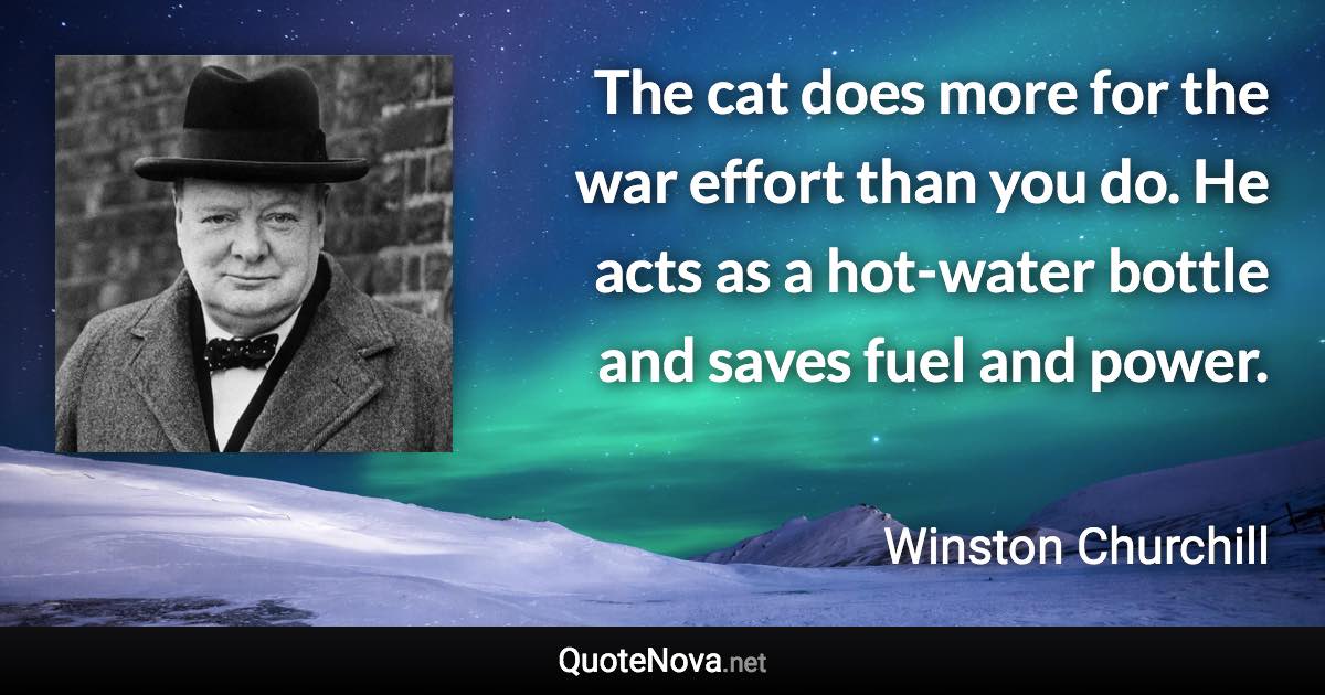 The cat does more for the war effort than you do. He acts as a hot-water bottle and saves fuel and power. - Winston Churchill quote