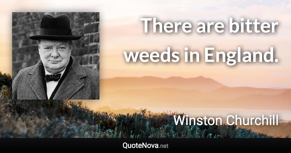 There are bitter weeds in England. - Winston Churchill quote