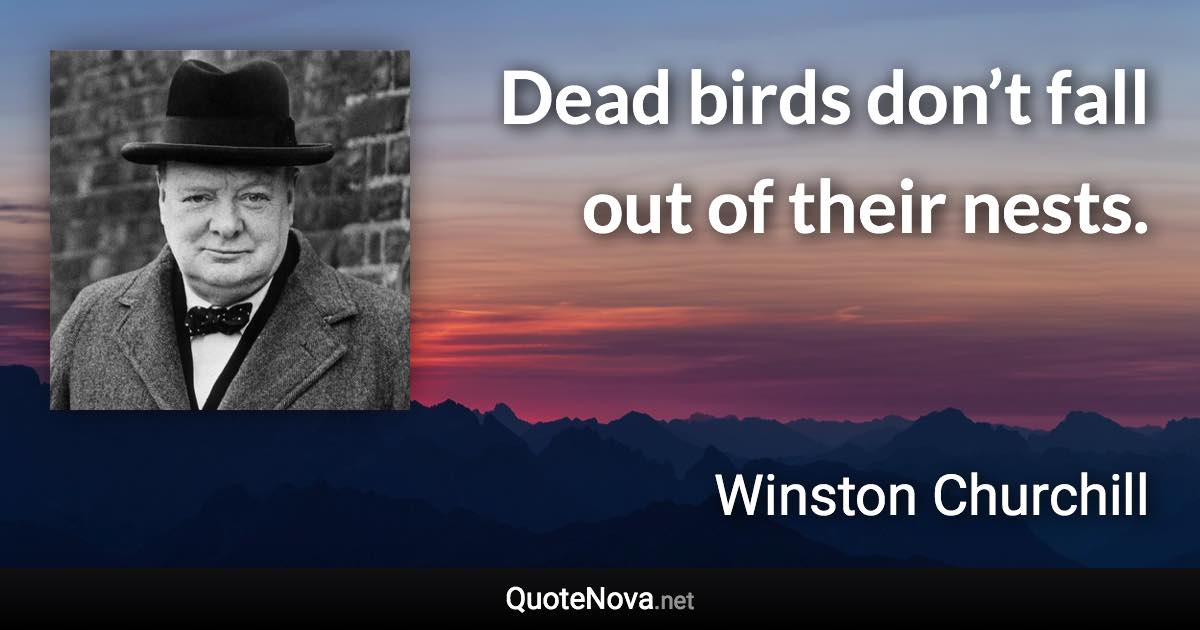 Dead birds don’t fall out of their nests. - Winston Churchill quote