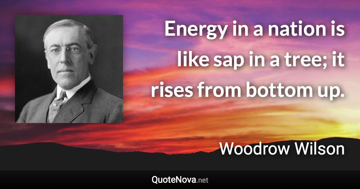Energy in a nation is like sap in a tree; it rises from bottom up. - Woodrow Wilson quote