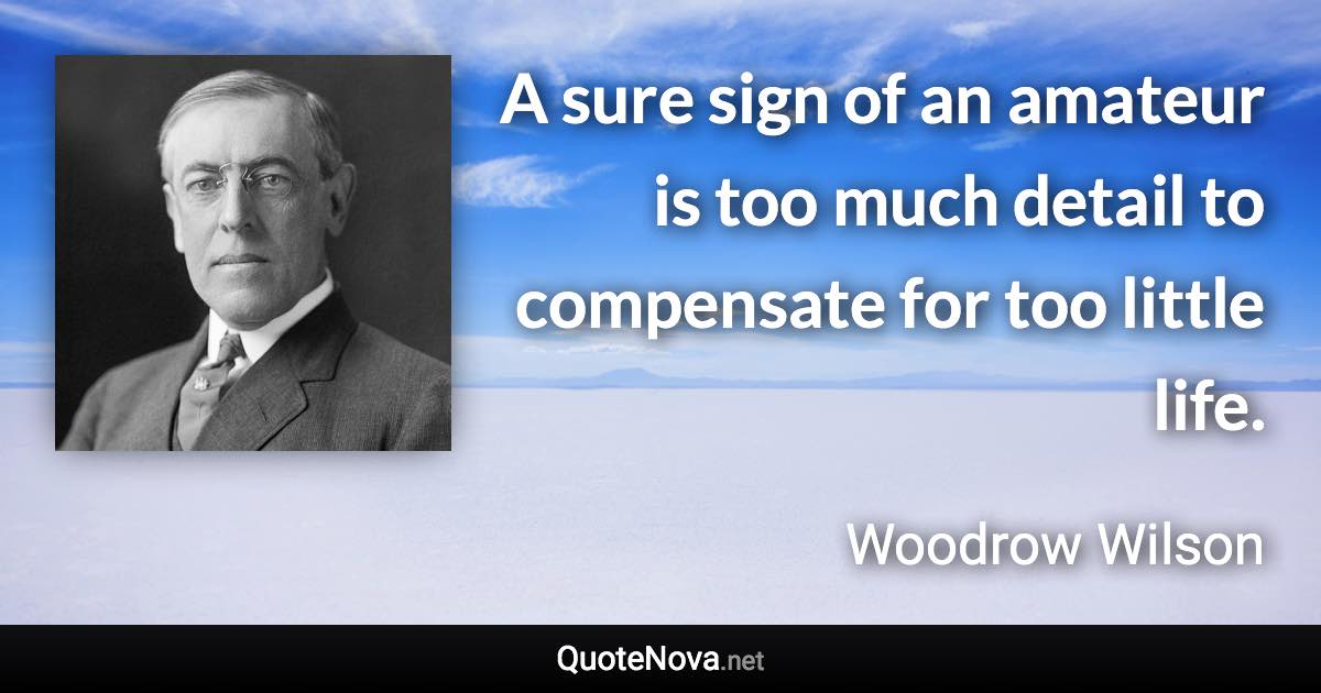 A sure sign of an amateur is too much detail to compensate for too little life. - Woodrow Wilson quote